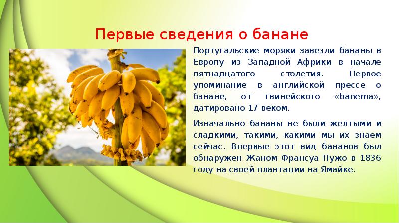 Презентация про бананы