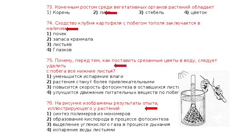 Анатомия огэ презентация