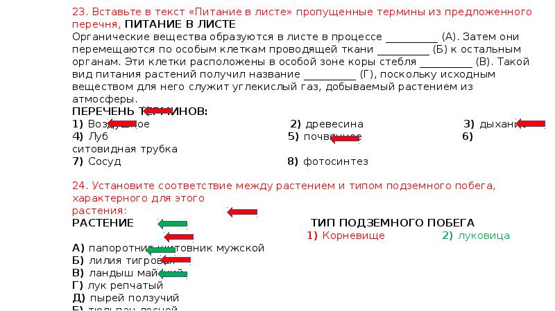 Слова из предложенного списка. Питание в листе текст. Вставьте в текст питание листа. Вставьте в текст пропущенные термины. Вставь в текст особенности питания растений пропущенные термины.