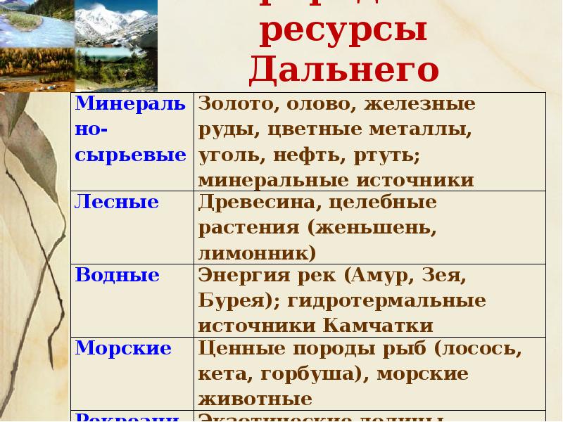 Дальний восток край контрастов презентация