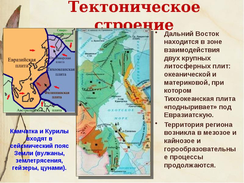 Презентация на тему дальний восток край контрастов