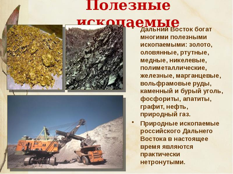 Природные ресурсы дальнего востока россии