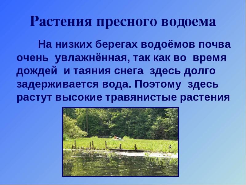 Жизнь в пресных водах 4 класс окружающий мир презентация школа россии