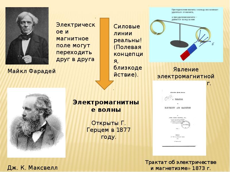 Для составления данной диаграммы обследование проводилось в фазу культуры