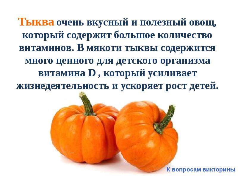 Что содержится в тыкве