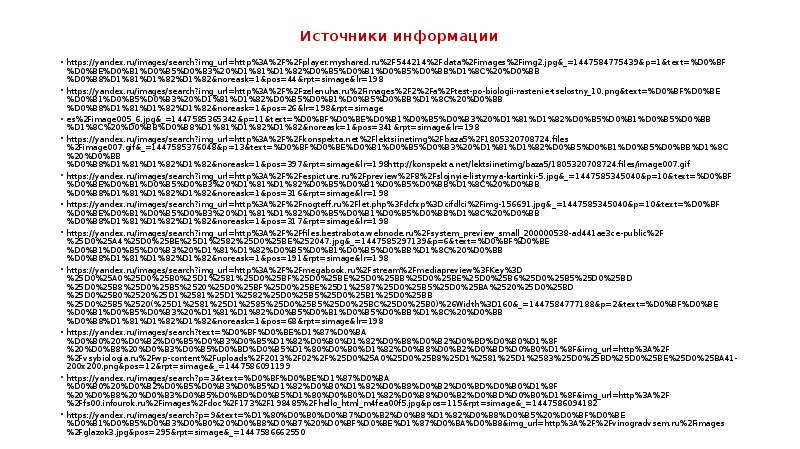 Побег. Почка