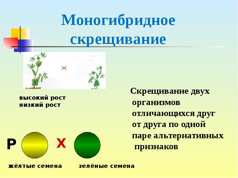 Урок-модуль 