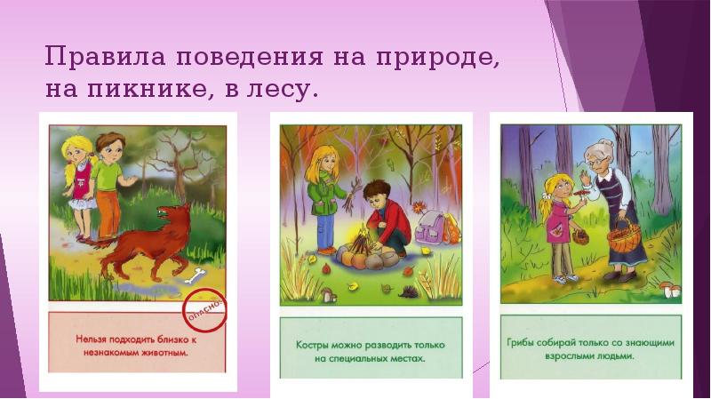 Безопасность на природе презентация