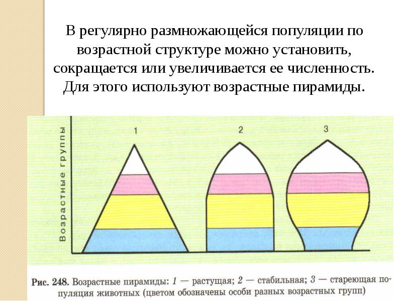 Свойства популяции схема