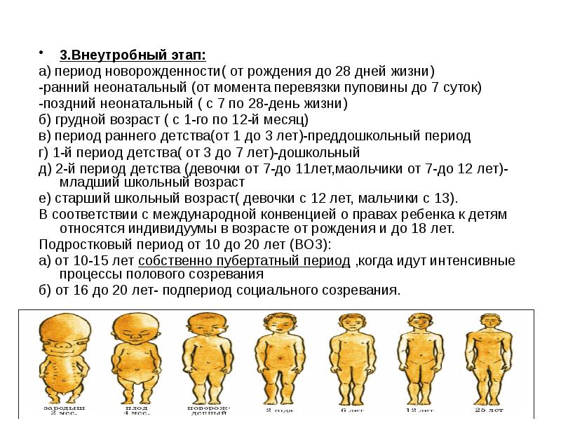 Анемия пропедевтика внутренних болезней презентация