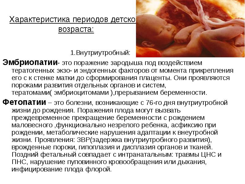 Характеристика периодов детского возраста:
Характеристика периодов детского возраста: