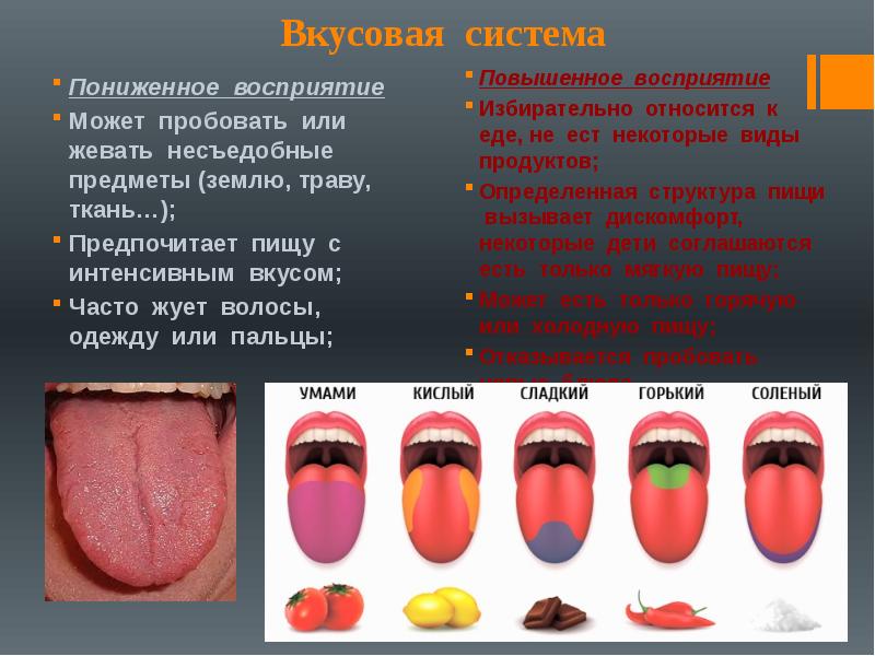 Вкусовая сенсорная система презентация