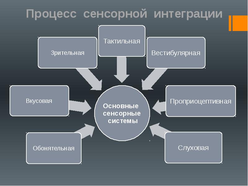 Сенсорные процессы это