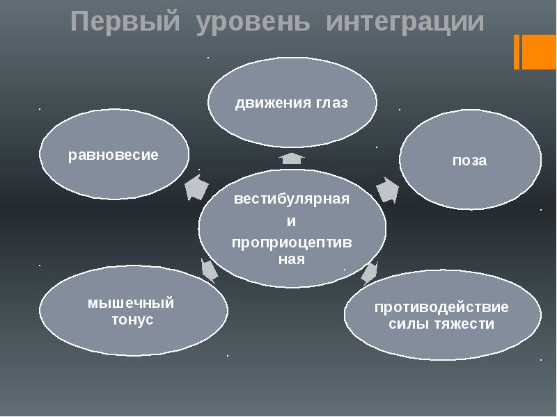 Степень интеграции культуры