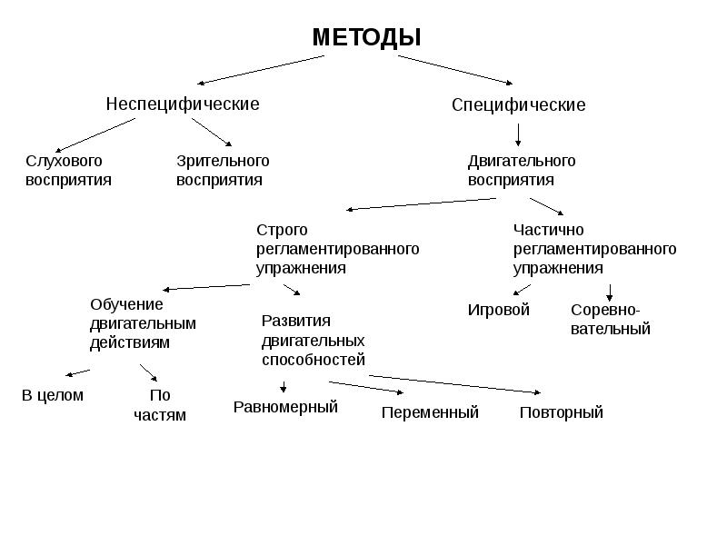 Методы физического воспитания схема