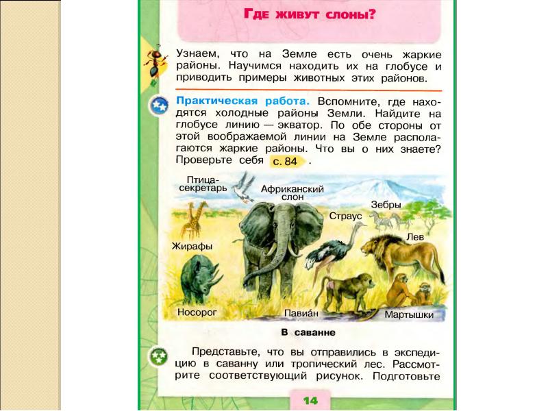 Презентация 1 класс где живут слоны окружающий мир