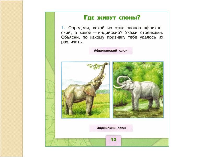 Презентация 1 класс школа россии где живут слоны 1 класс