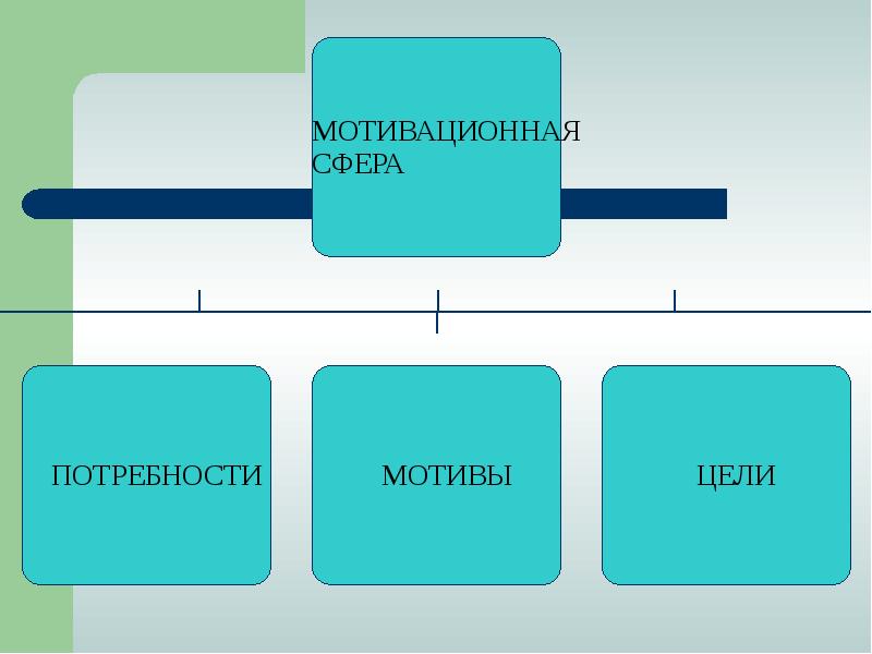 Ценностно мотивационная сфера личности