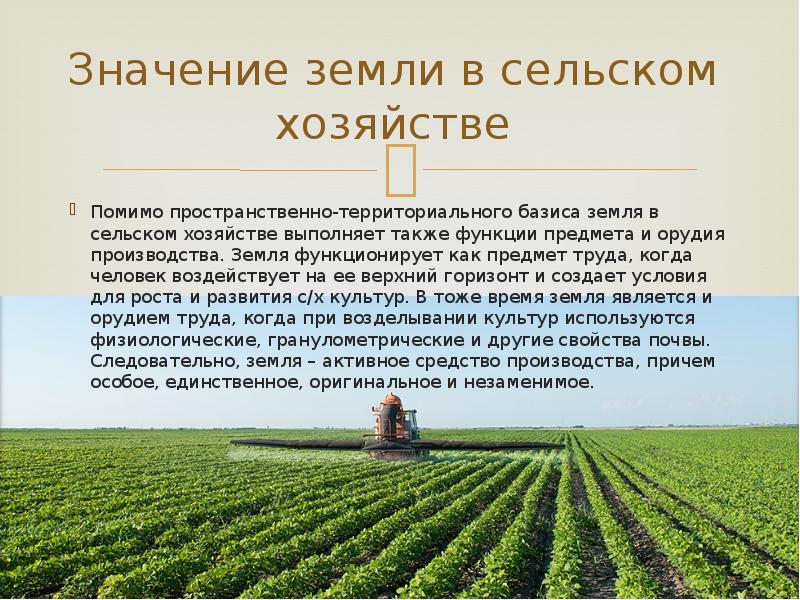 Экологическая оценка качества продукции растениеводства презентация