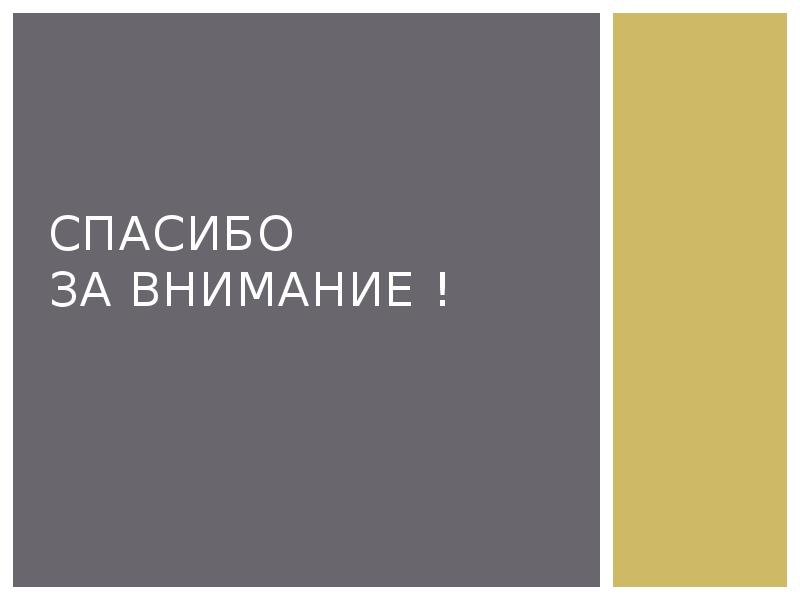 Спасибо  за внимание !