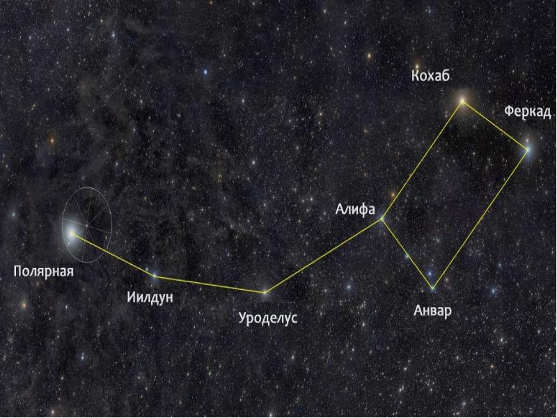 Созвездие большая медведица схема с названиями звезд