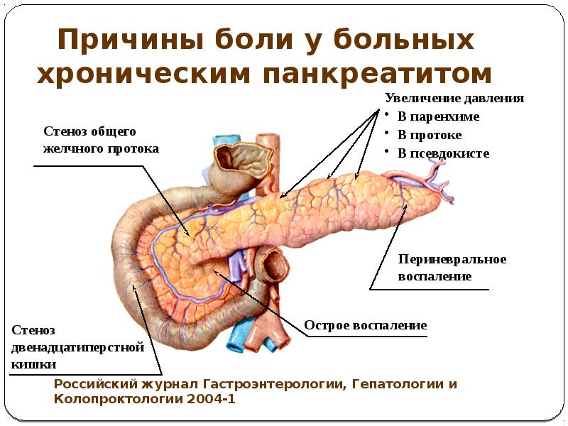 Может ли из за проблем с поджелудочной железой выпадать волосы