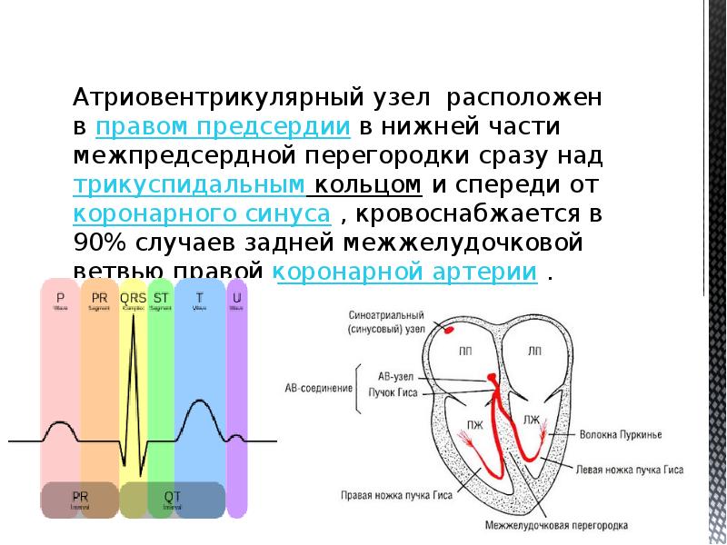 Ав блокада презентация