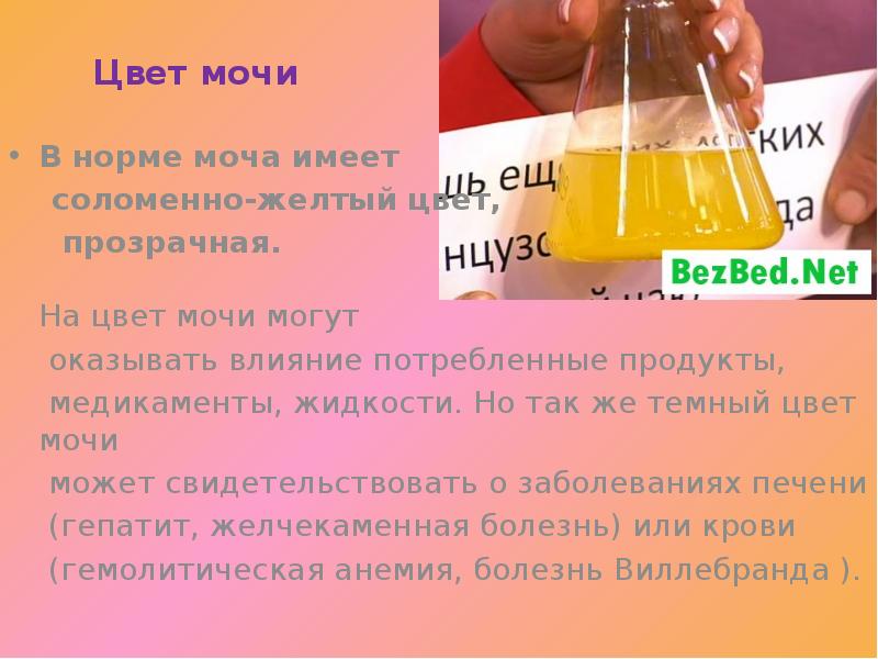 Нормальная моча