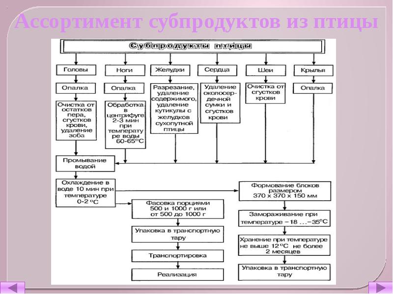 Технологическая схема обработки слизистых субпродуктов