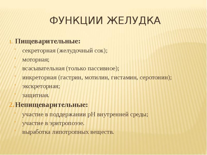 Функция желудка в организме