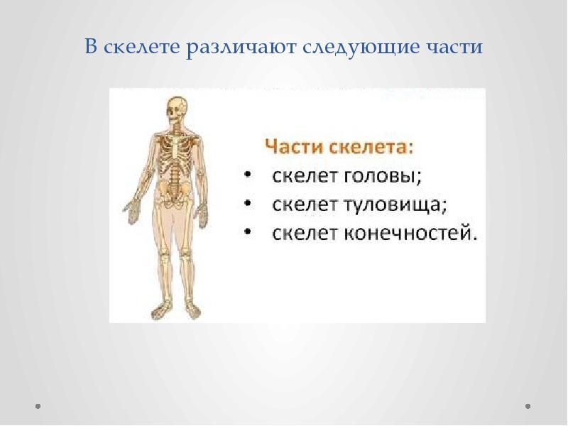 Скелет презентации проекта