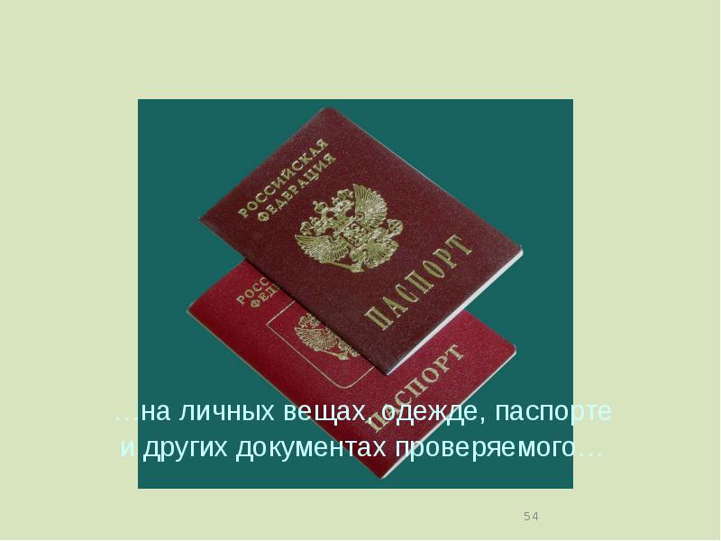 Одежда паспорт
