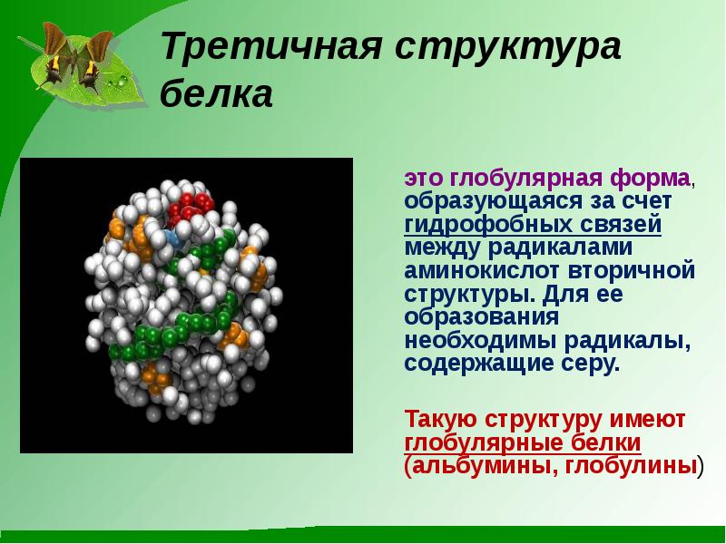 Глобулярные белки. Структура белка глобулярные белки. Третичная глобулярная структура белка. Глобулярные белки структура. Третичная структура белков форма.