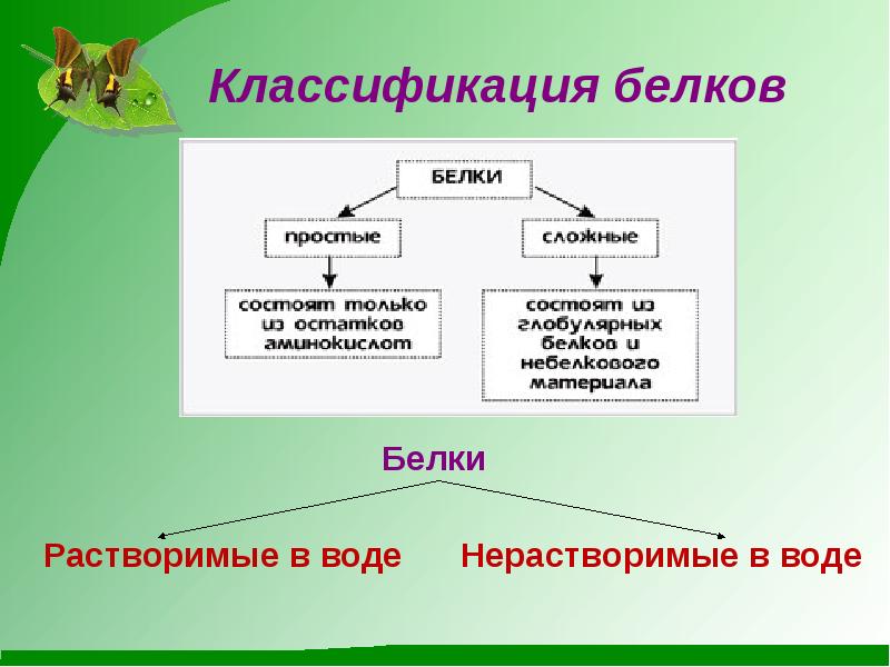 Какие вещества белками. Классификация белков. Органические соединения белки. Классификация веществ белки. Классификация белков в клетке.