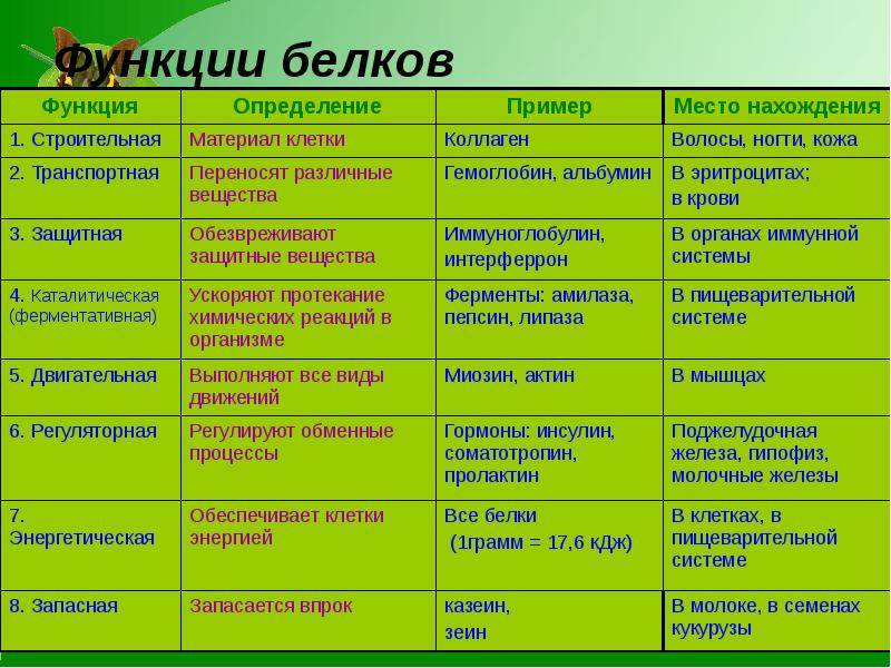 Выберите функции белка. Функции белков с пояснениями. Функции белков в клетке таблица. Функции белка с примерами. Функции белков с примерами.