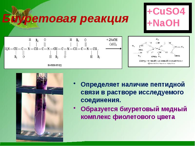 Напишите схему биуретовой реакции