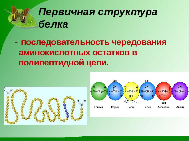 Последовательность определенных аминокислот в молекуле белка