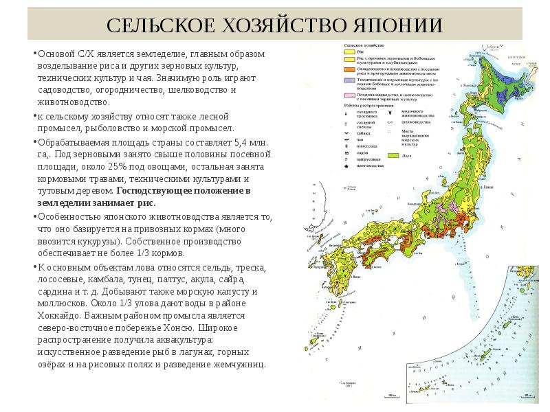 Характеристика японского моря по плану 9 класс