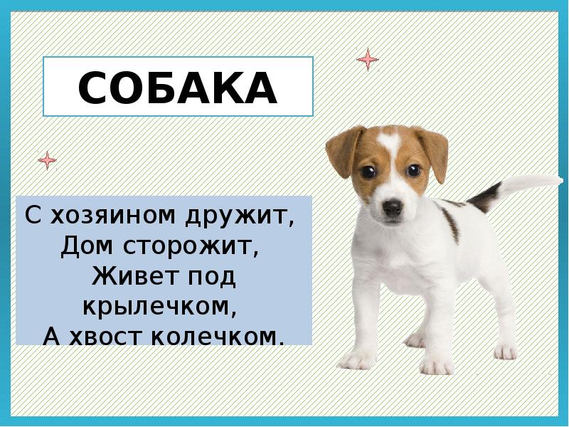 девочка сидит на ступеньках. живет под крылечком. собака под крыльцом картинка для детей. собака во дворе. ребенок на крыльце.