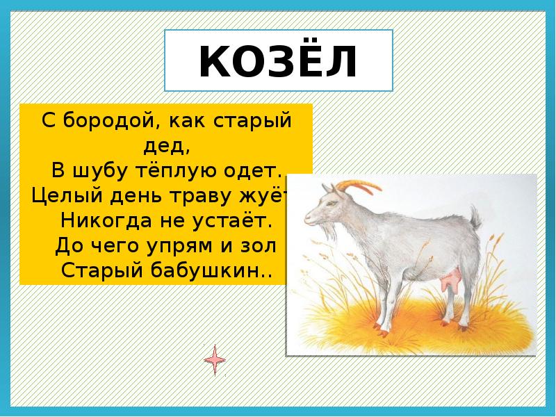 Такой молодой а ходишь как старый козел с бородой