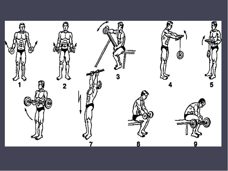 Упражнения на предплечье. Упражнения для развития мышц кистей. Тренировка предплечий гантелями. Комплекс упражнений на предплечье и кисти. Упражнения для предплечий и кистей.