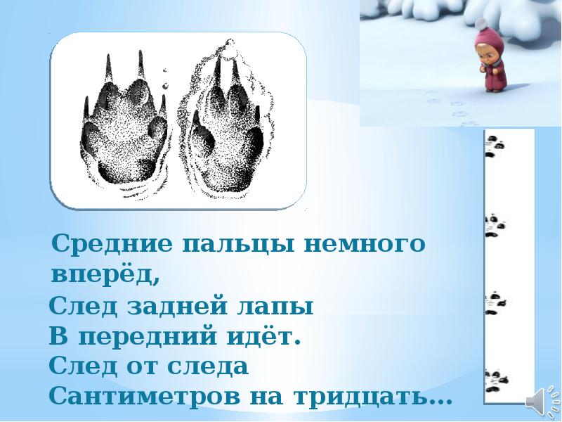 Предложение следы. Загадки про следы зверей. Загадка про следы на снегу. Загадки про следы животных. Загадки про следы животных на снегу.