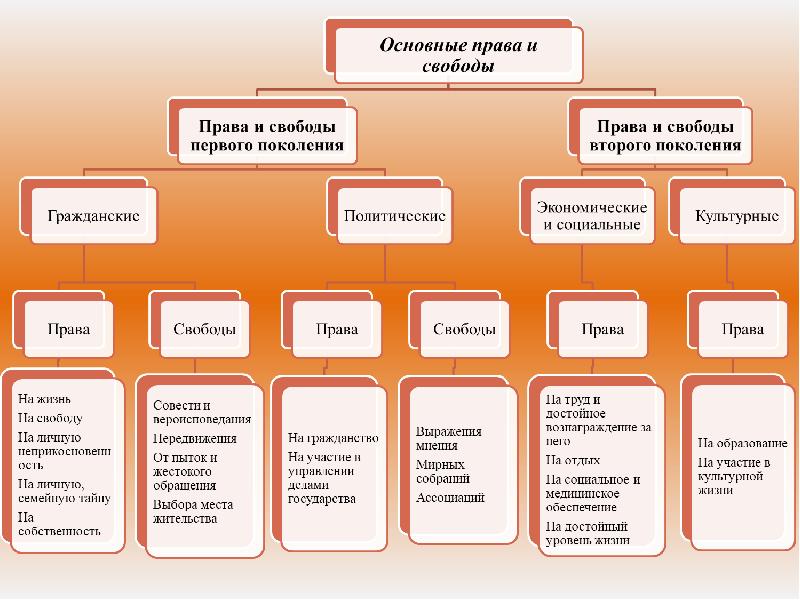 Как можно нарисовать всеобщую декларацию прав человека