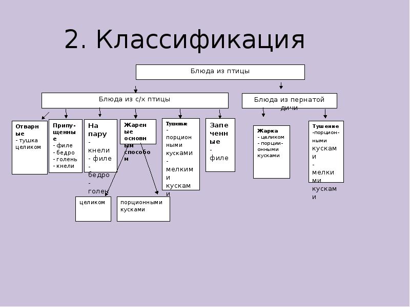 Дополнительная классификация. Классификация мяса схема. Классификация блюд из птицы и дичи. Классификация и ассортимент блюд из птицы. Классификация кулинарной продукции из птицы.