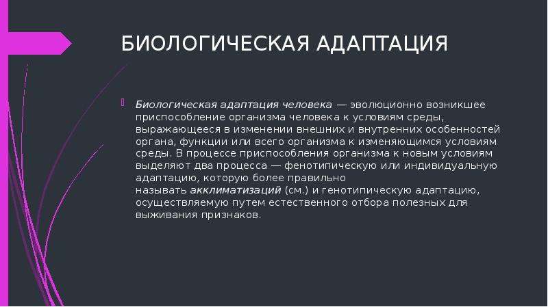 Какие приспособления возникли в процессе эволюции