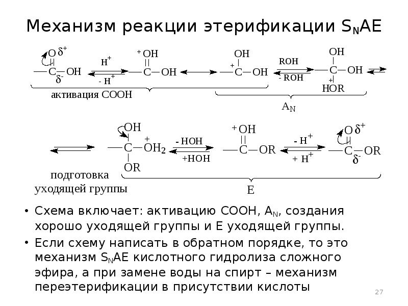 Схема реакции этерификации