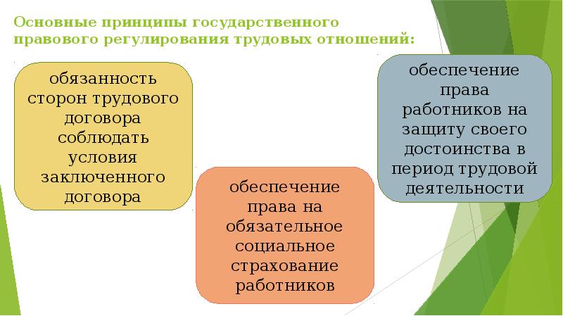 Какие принципы регулируют трудовые отношения. Государственно правовые отношения.