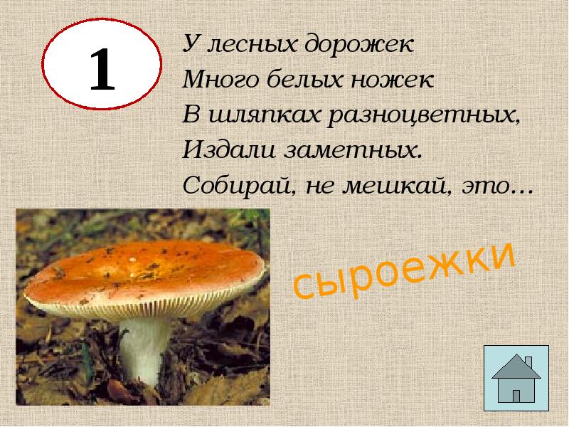 Как проверить слово сыроежки. Сыроежка проверочное слово. загадка про сыроежку. красная шляпка белая ножка стоит у дорожки постоит немножко.
