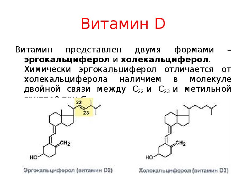 Витамины презентация биохимия