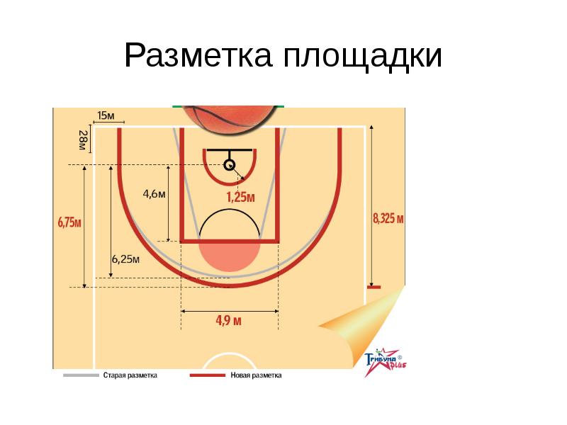 Размер баскетбольной площадки. Разметка баскетбольной площадки 18х9.